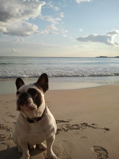 le encanta la playa le encanta la playa